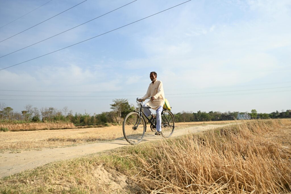 pexels amritansh srivastava 363023537 32024993 pexels amritansh srivastava 363023537 32024993